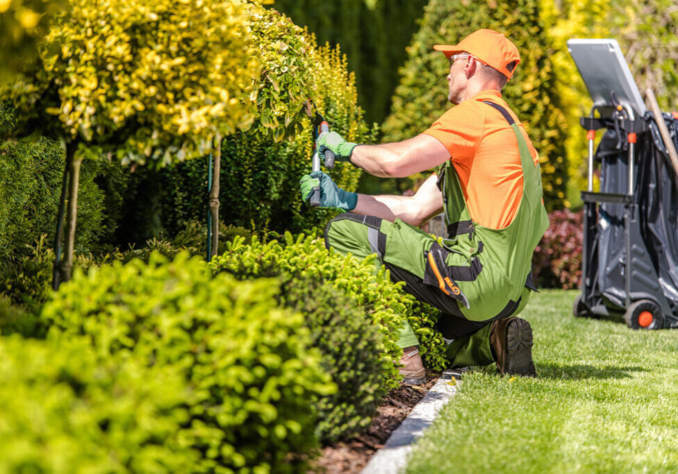 Safety Hazards in Onsite Landscaping Work