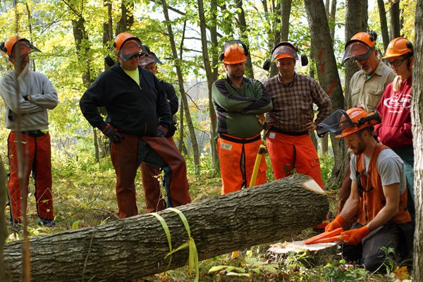 Chainsaw Safety Training in Canada
