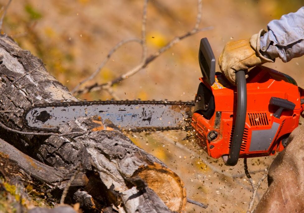 Chainsaw Safety Training Online