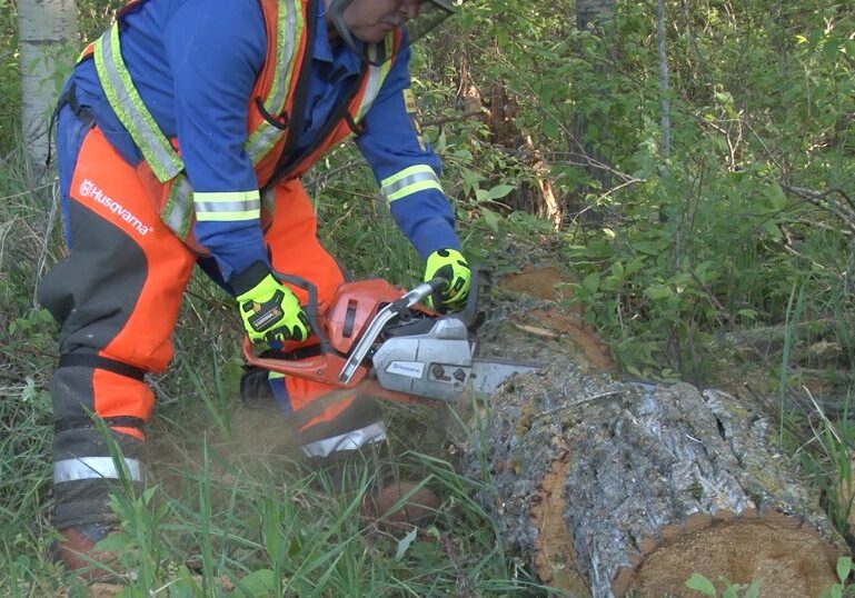 Chainsaw Safety Training in Canada