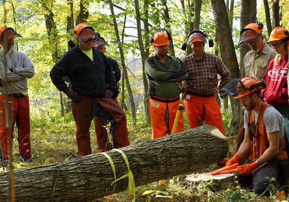 Chainsaw Safety Training in Canada